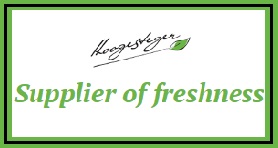 HOOGESTEGER EXPORT